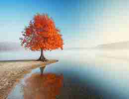 专​业‌搜‍索‌流‌量​方‍案﻿